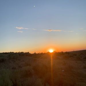 Meet your Posher, Kelli